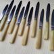 12 cheese or fruit knives "Aux 2 lions" with bovine horn handles
