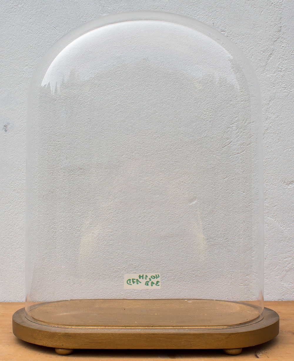 Antique glass globe 40.5 cm high