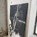 Ancienne photographie arbre noir et blanc XXL