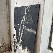 Ancienne photographie arbre noir et blanc XXL