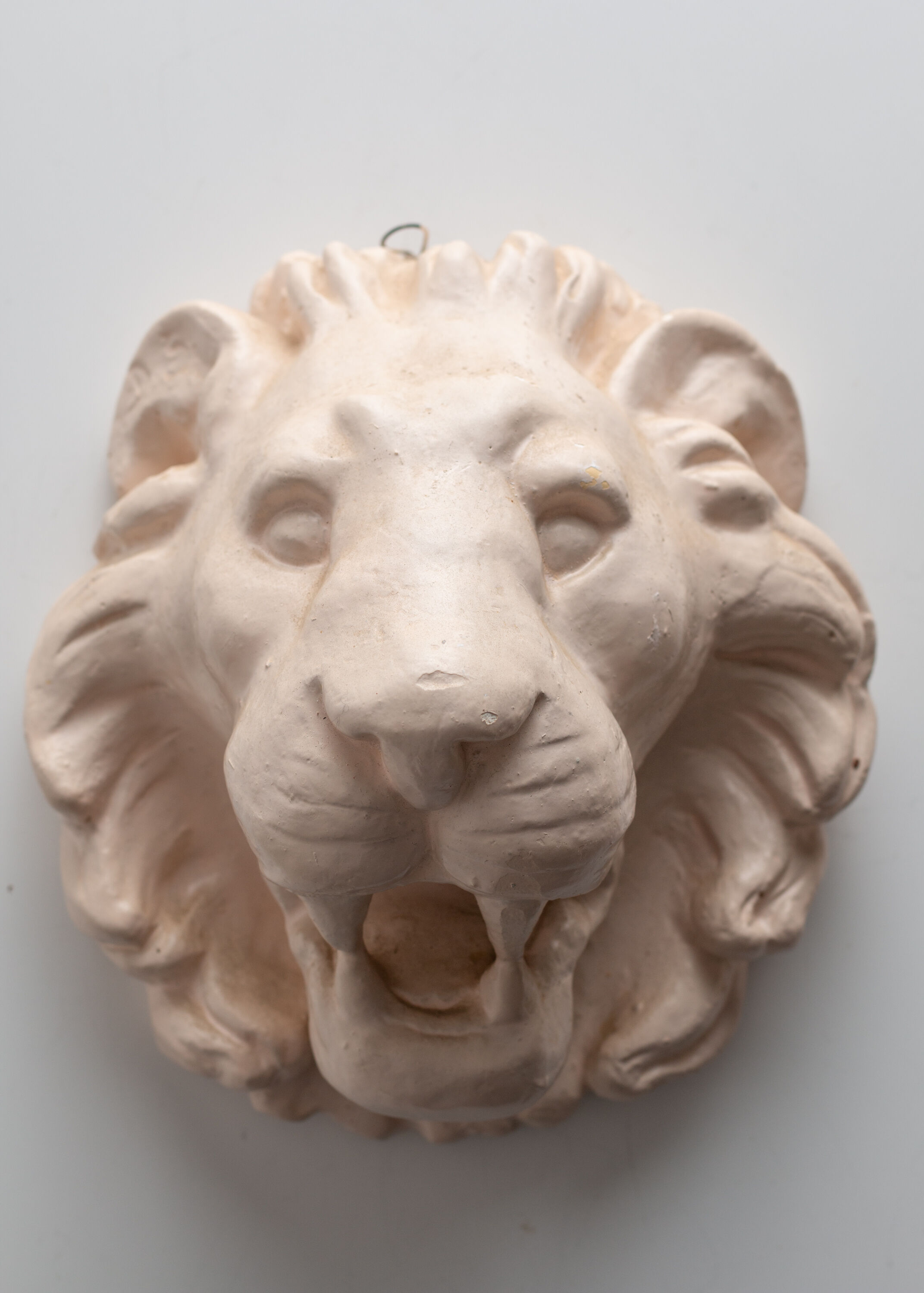 Lion's head in painted plaster