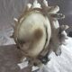 Coupe en albâtre sculptée epoque XlXème siècle