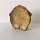 Mail holder, solid brass leaf 1970