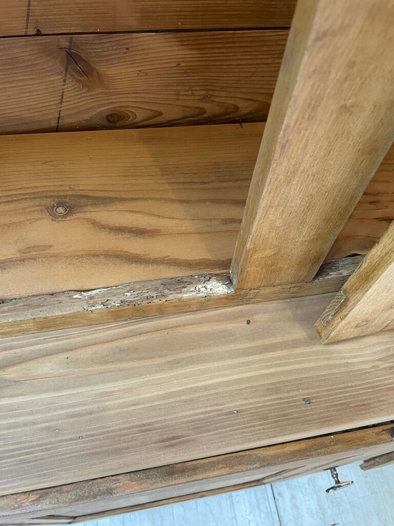 Napoleon oak and pine library