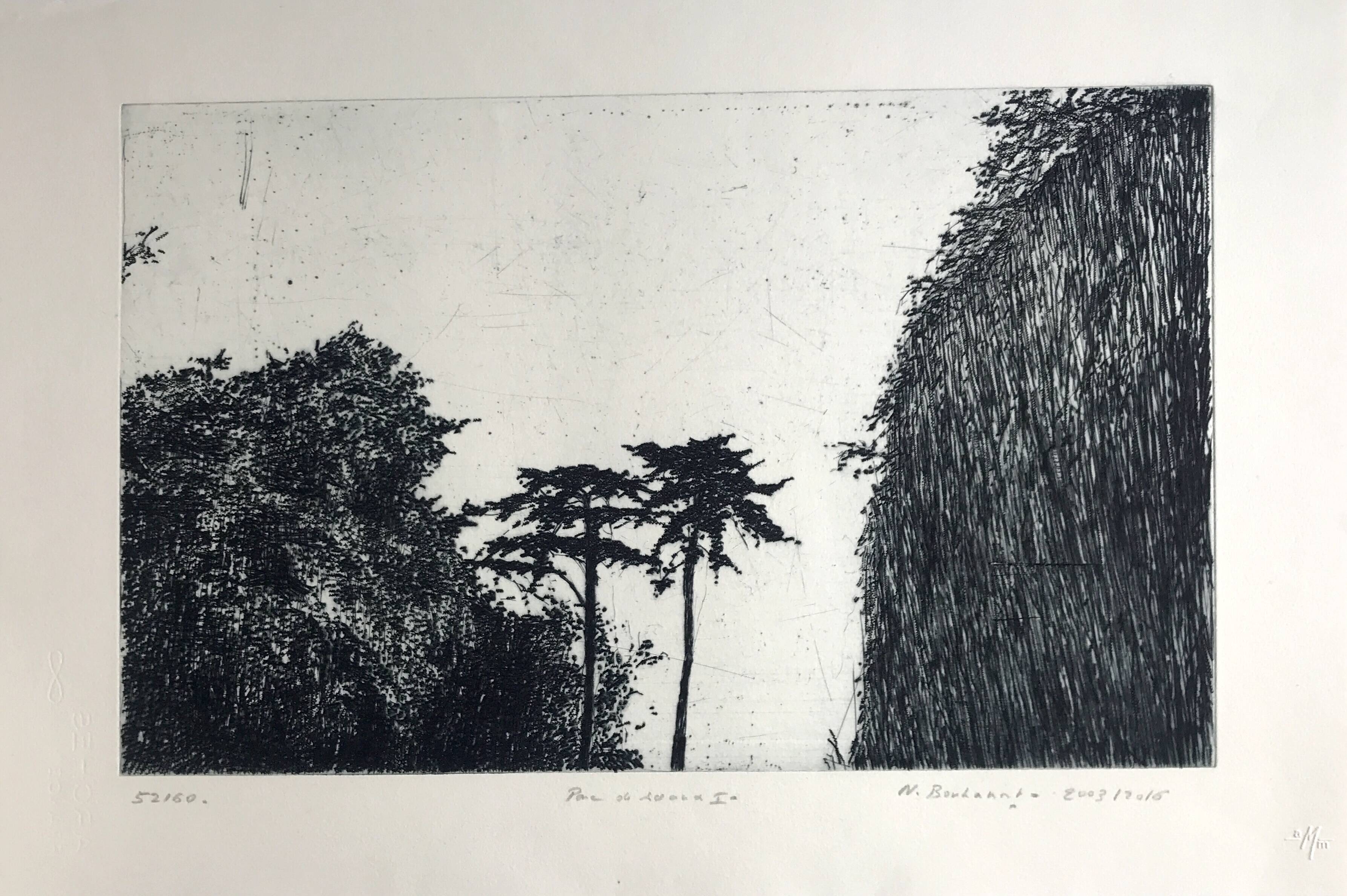 Nicole BOUHARMONT, Parc de Sceaux I, 2003-16. Drypoint signed in pencil