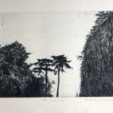Nicole Bouharmont, Parc de Sceaux i, 2003-16. pointe sèche signée au crayon