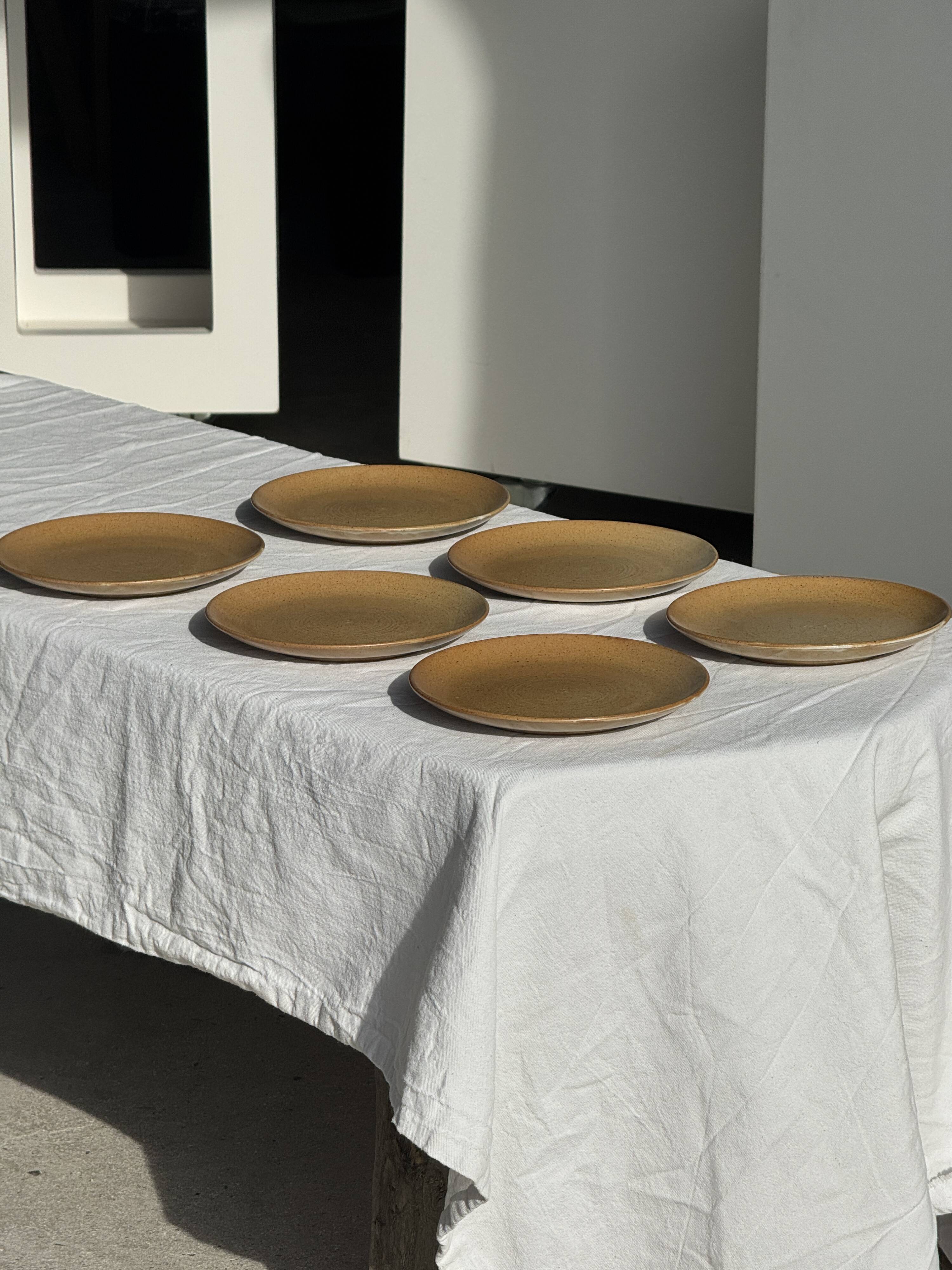 Set of 6 dessert plates in stoneware Village France D20