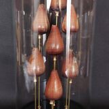 Cabinet of Curiosities shells conus figulinus
