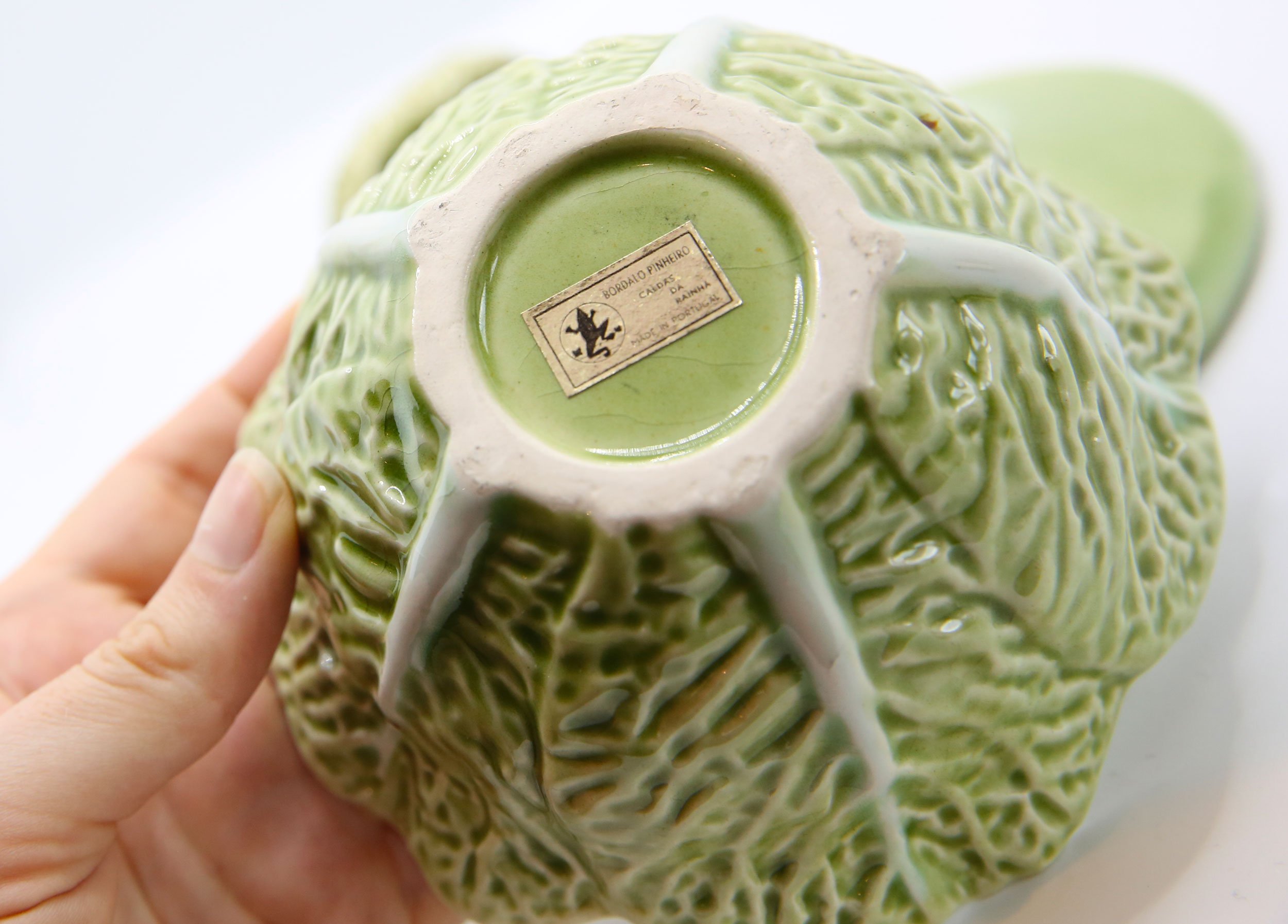 Mustard bush slurry light green cabbage leaf