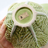 Mustard bush slurry light green cabbage leaf