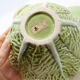 Moutardier en barbotine feuille de chou vert clair