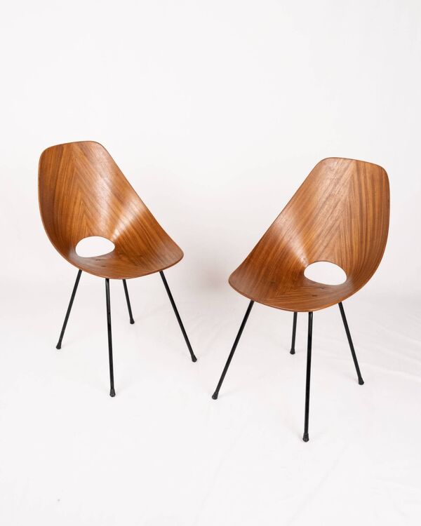 Paire de chaises Medea, Vittorio Nobili pour Fratelli Tagliabue, Italy 1955