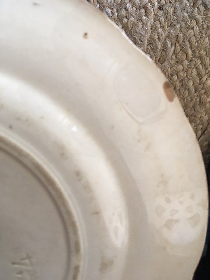 Six plates serves iron land U & C Sarreguemines collection "Thorn".