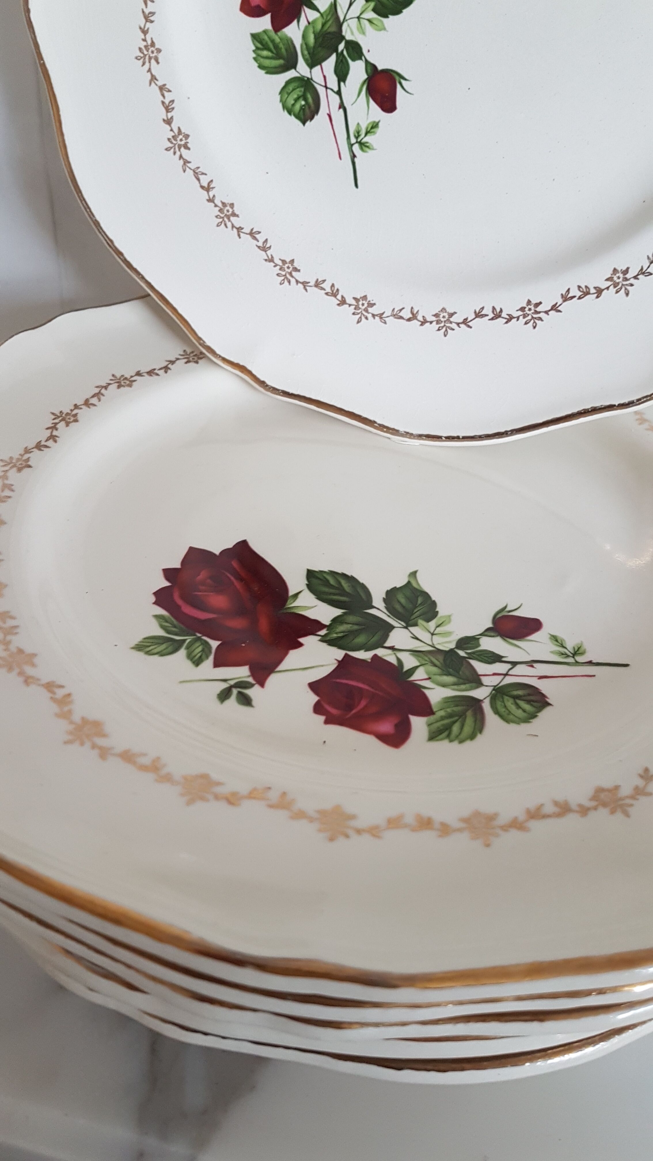 6 flat plates pink pattern