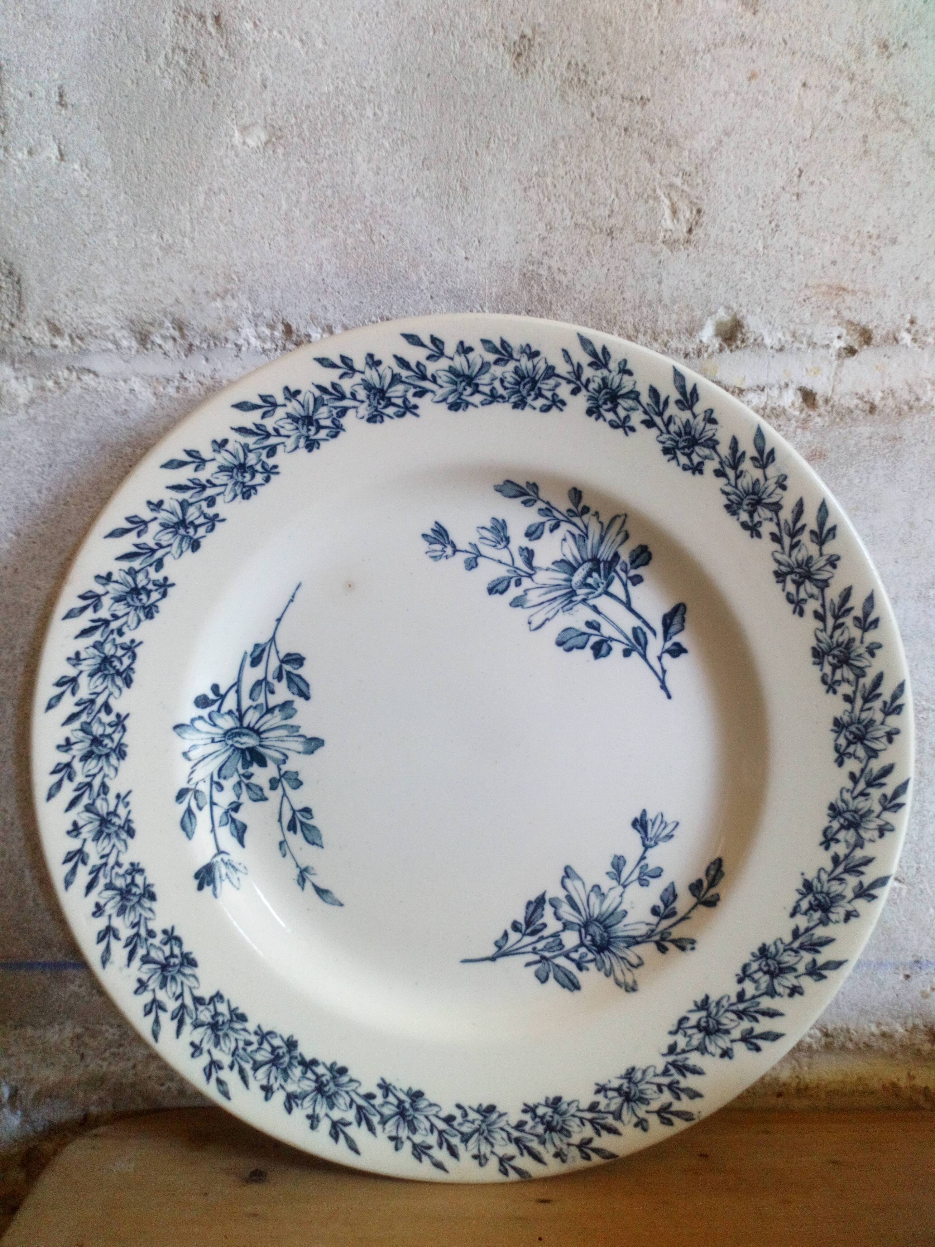 Six old plates made of lednéville iron soil from the "paquerette" sevice