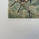 Old English engraving / court hunting