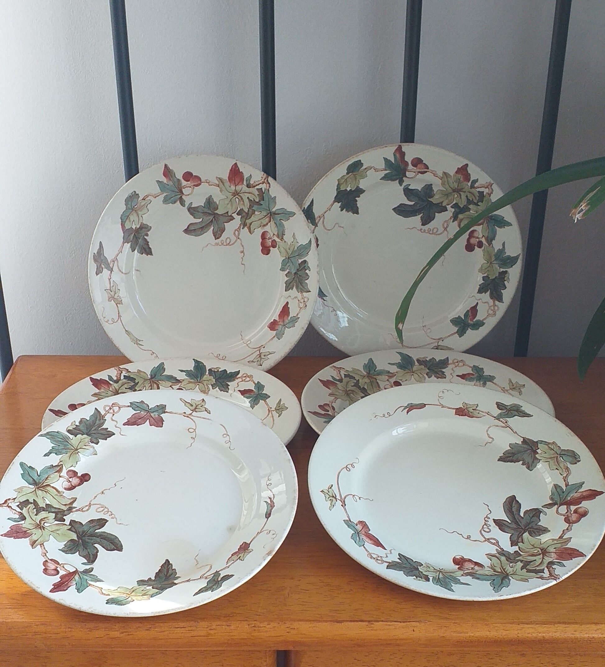 Flat porcelain plates from Lunéville KG ivy model