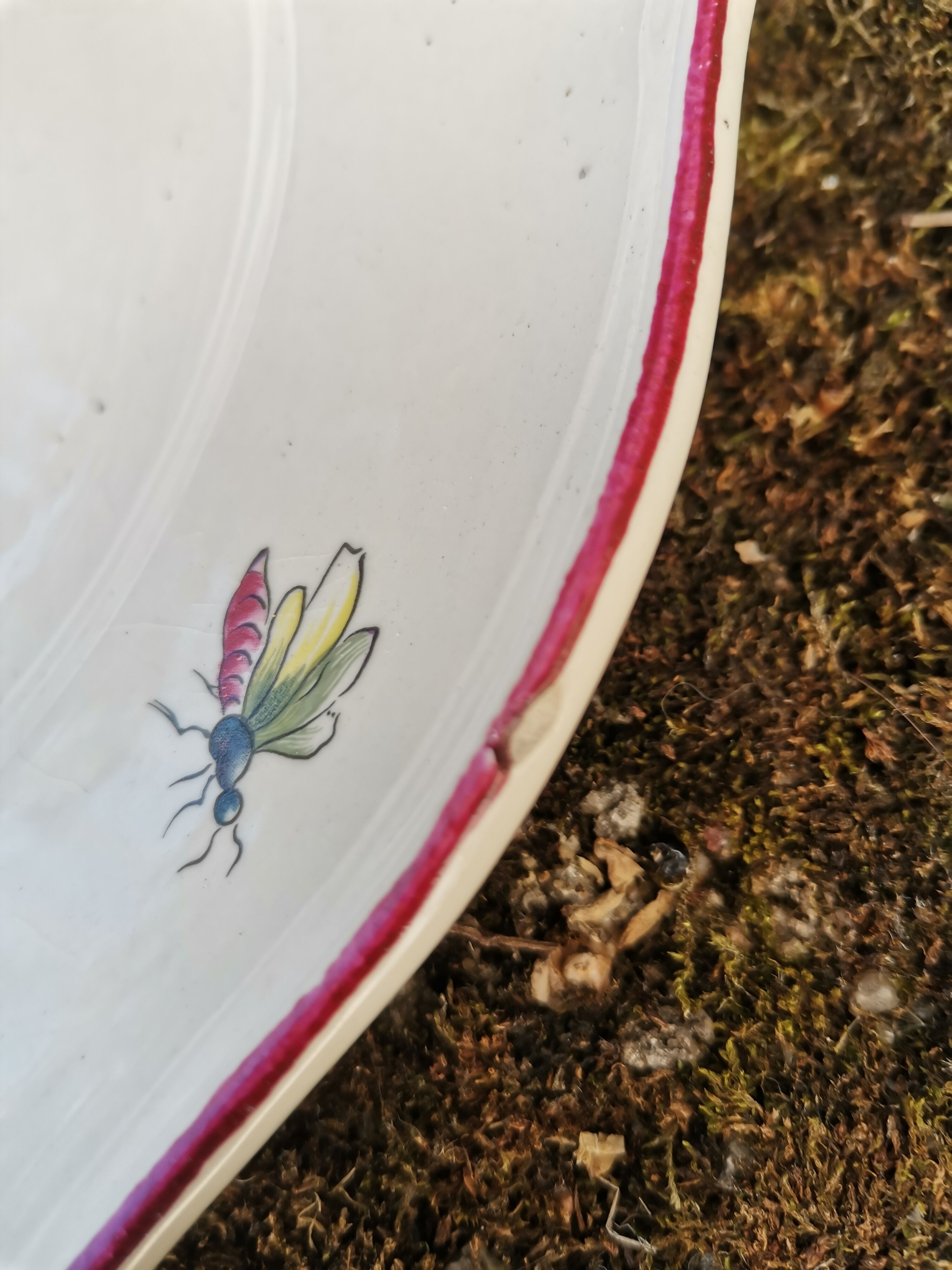 Plate st amand vieux strasbourg