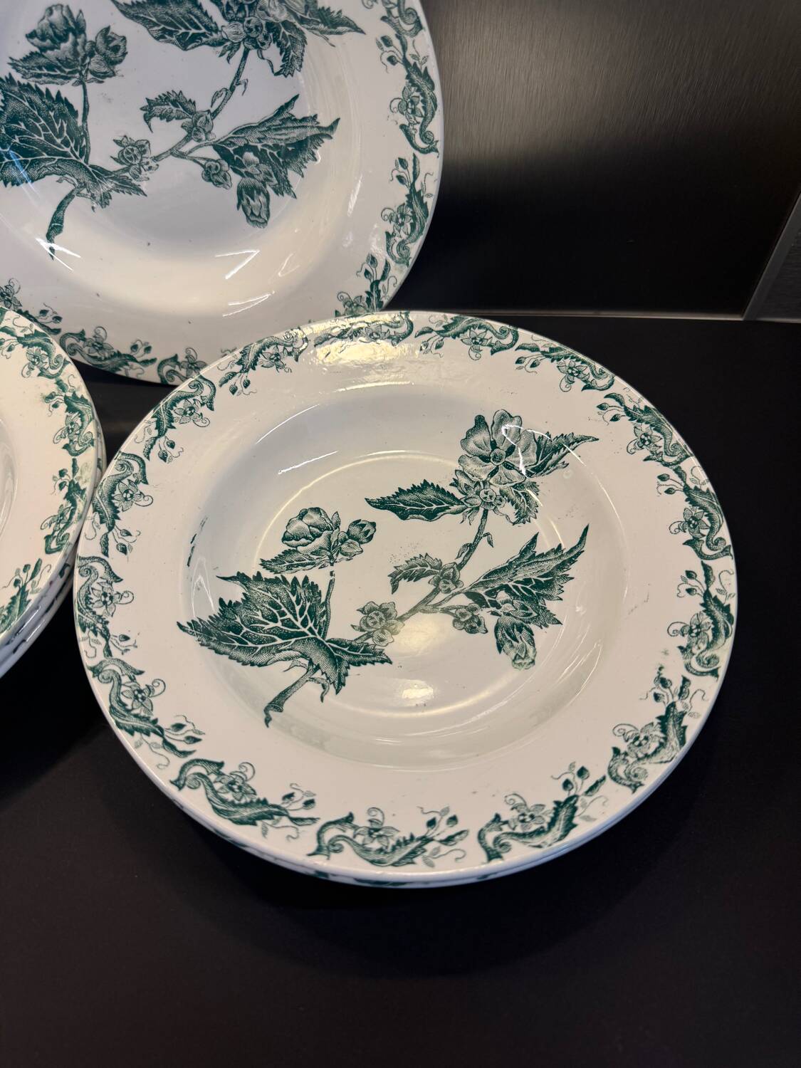 Set of 7 Terre de fer soup plates, green