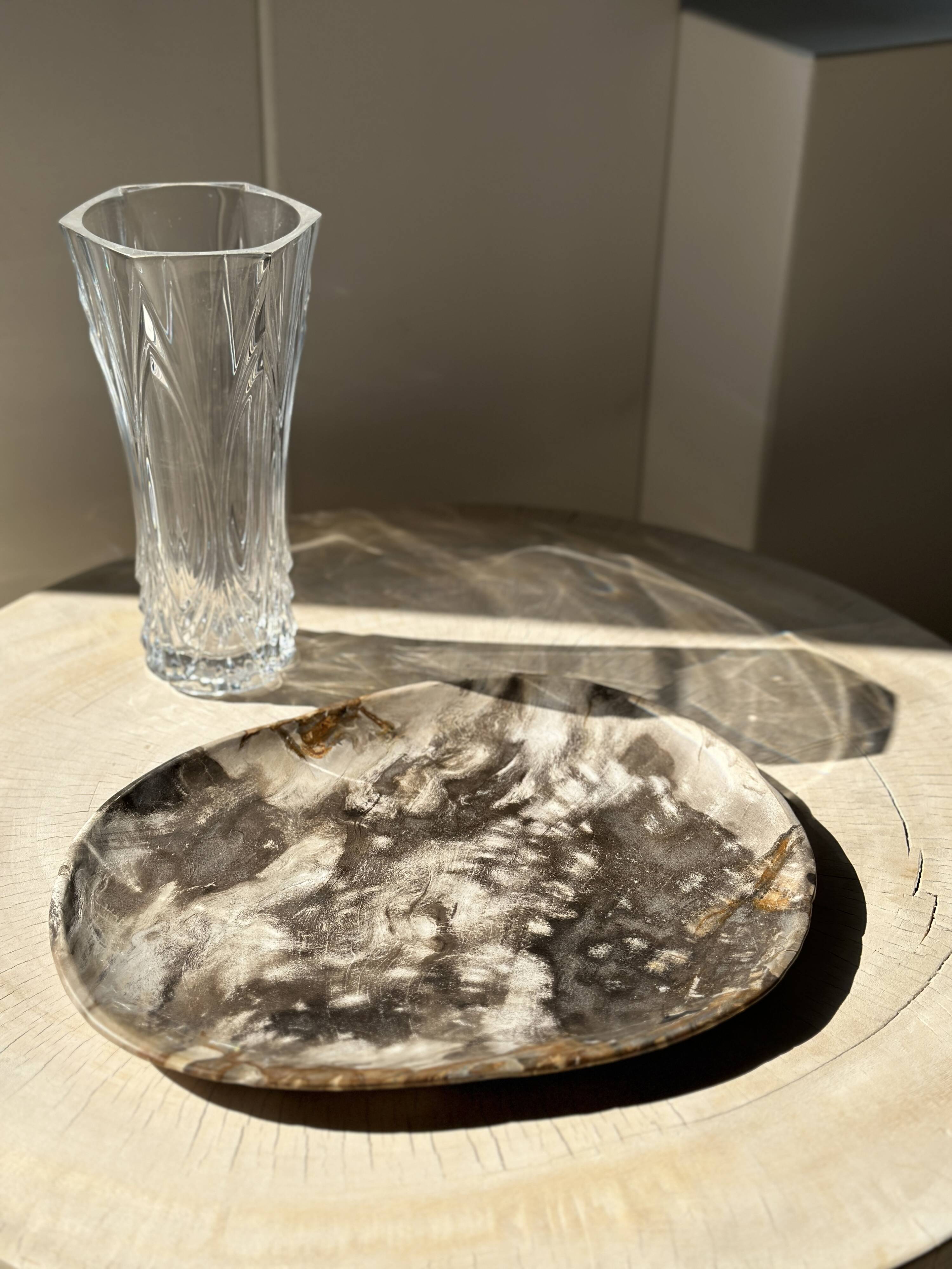 Very large empty pocket or dish in medium light petrified wood 1143