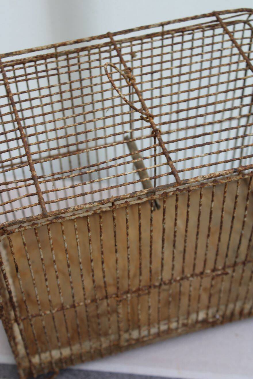 Old birdcage