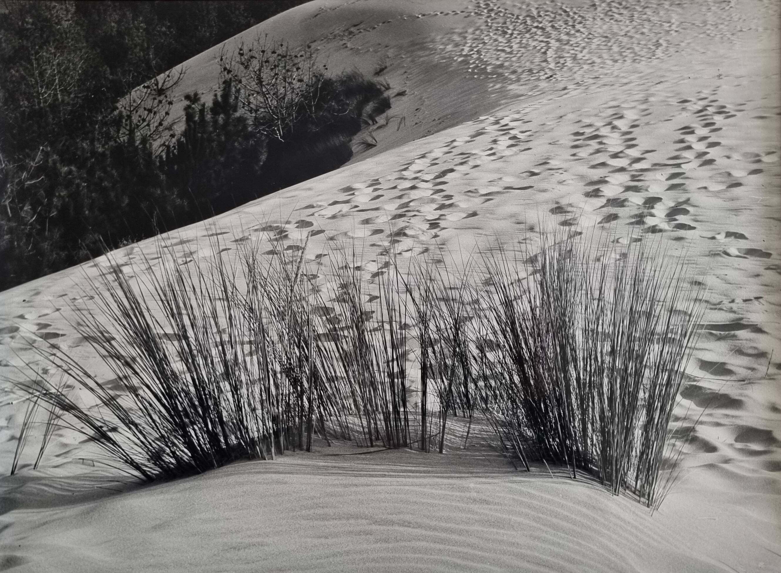 Vintage silver print photograph "The Dune" from the 1970s, framed 52x42 cm.