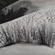 Vintage silver print photograph "The Dune" from the 1970s, framed 52x42 cm.