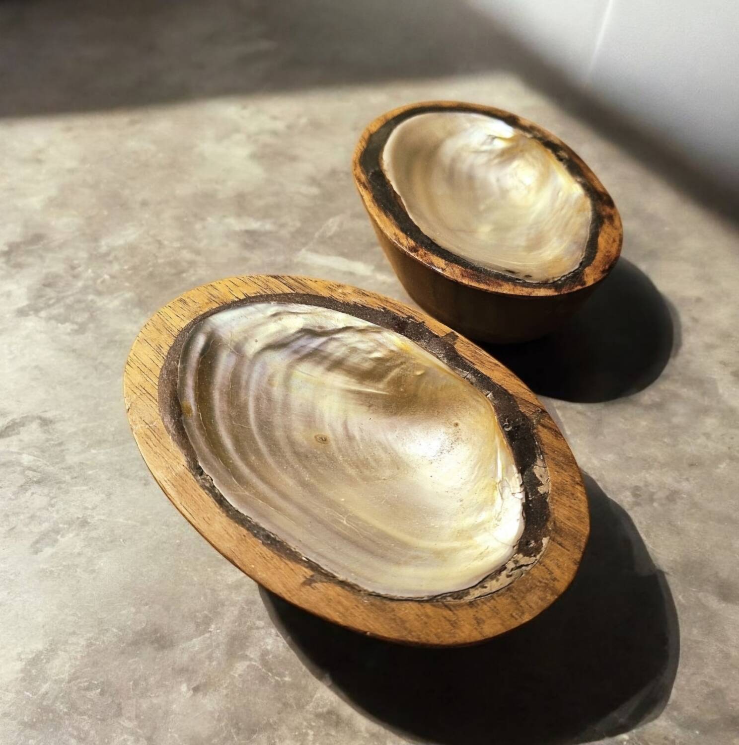 Pair of pocket emptiers or soap dishes