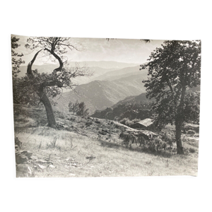 Photo argentique bergerie montagne