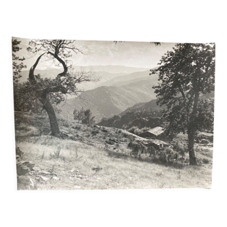 Photo silver sheepfold mountain Bernard Darot XXth