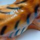 Ceramic tiger