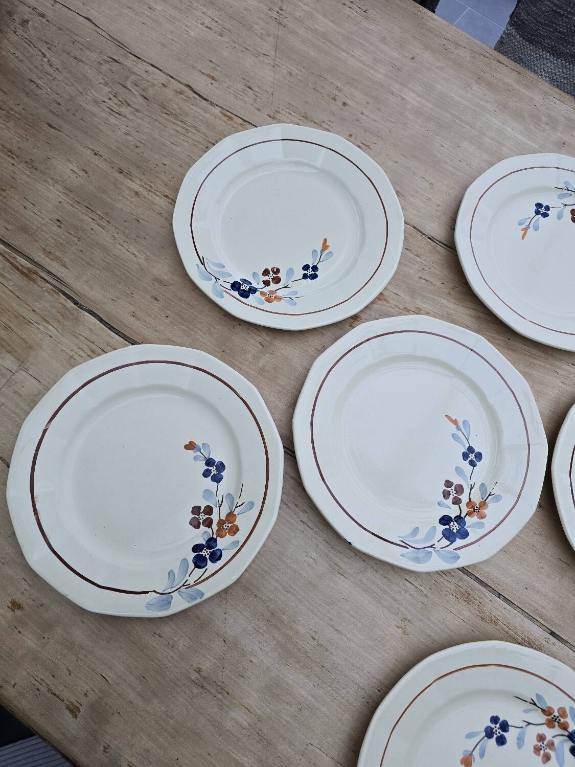 9 Sarreguemines plates model 5041