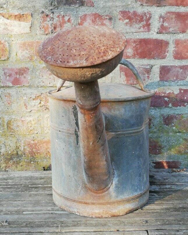Vintage metal watering cane early 20th century