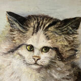 Cat portrait