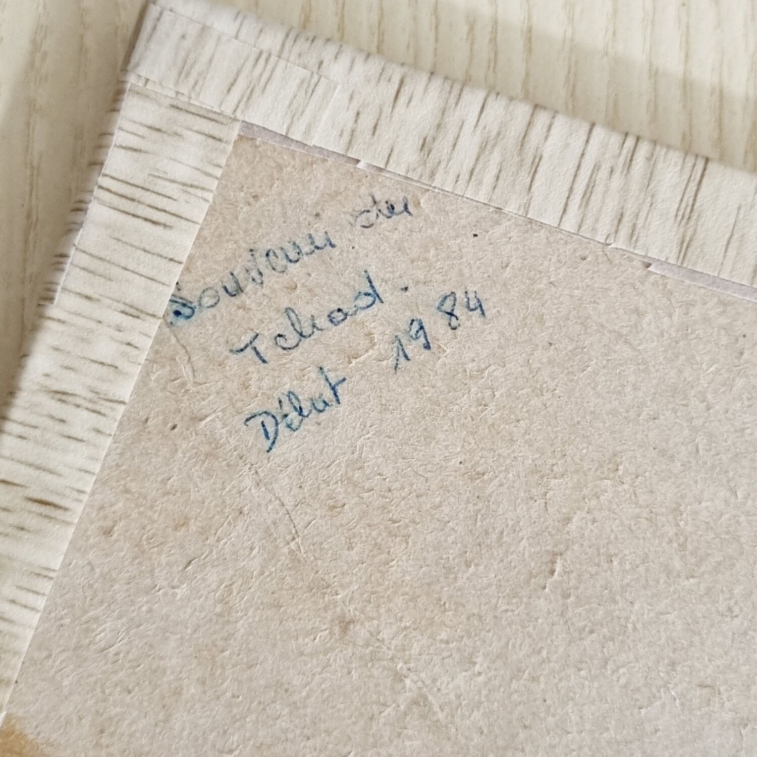 Frame 9 butterflies naturalized Congo 1984