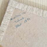 Frame 9 butterflies naturalized Congo 1984