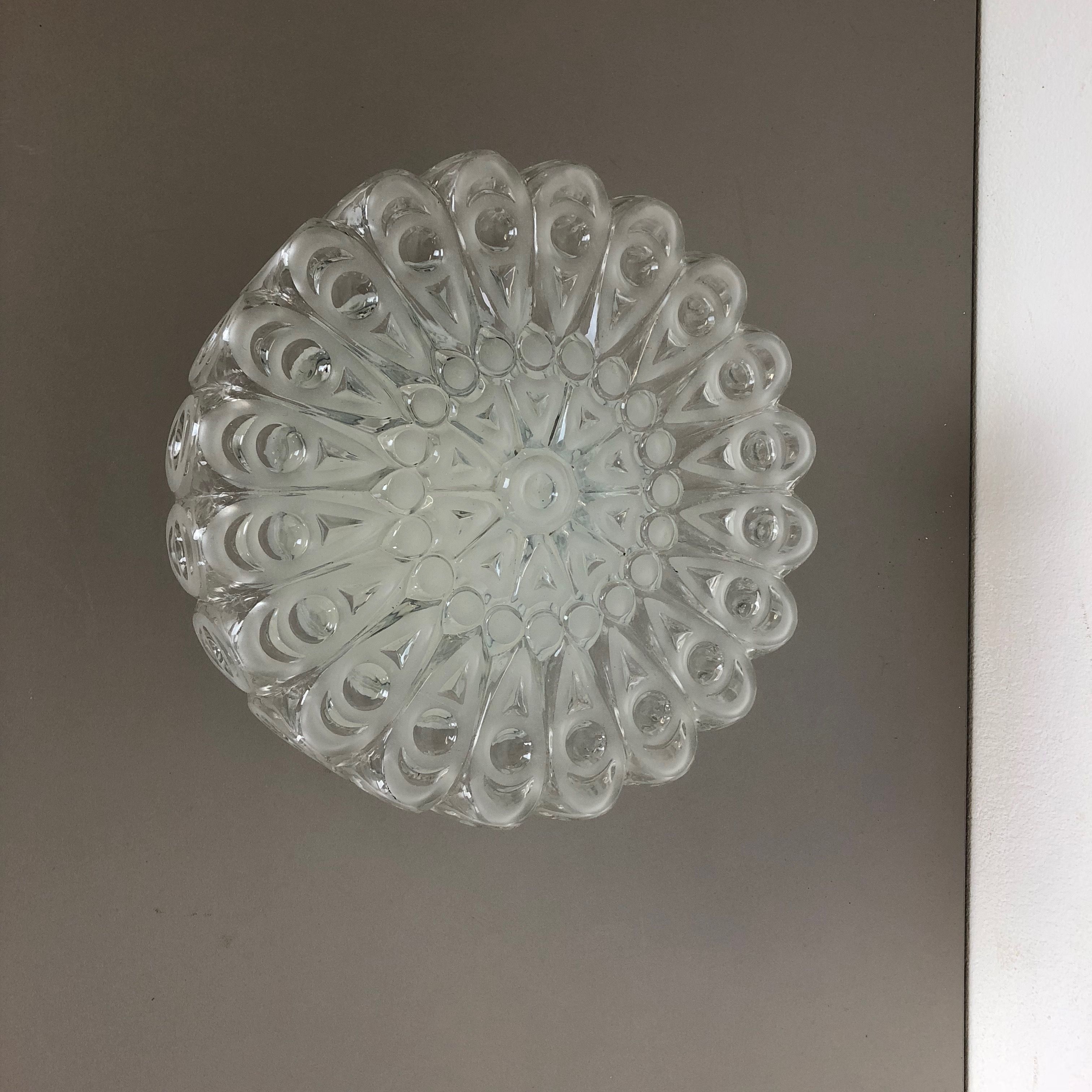 Modernist Floral Glass Wall Light Sconce Made by Hillebrand, Germany, 1970s