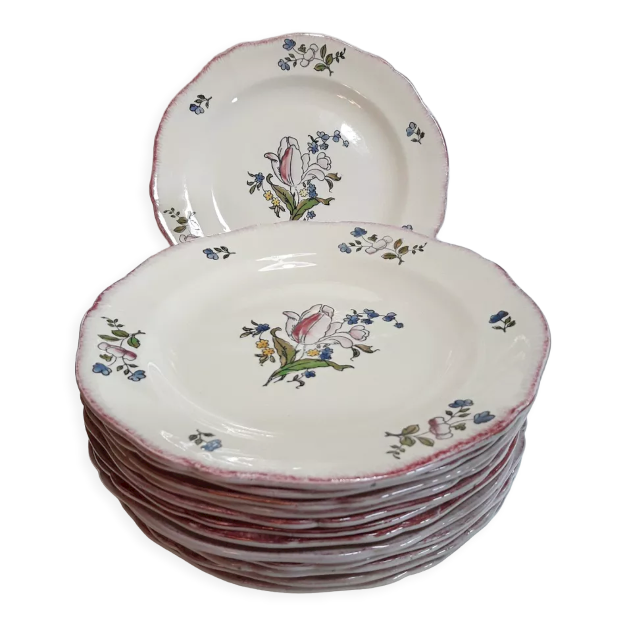 Set of 13 plates Gien earthenware 25cm