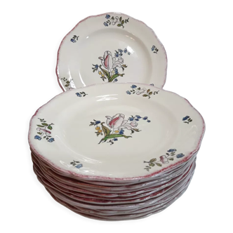 Série de 13 assiettes Gien faïence 25cm