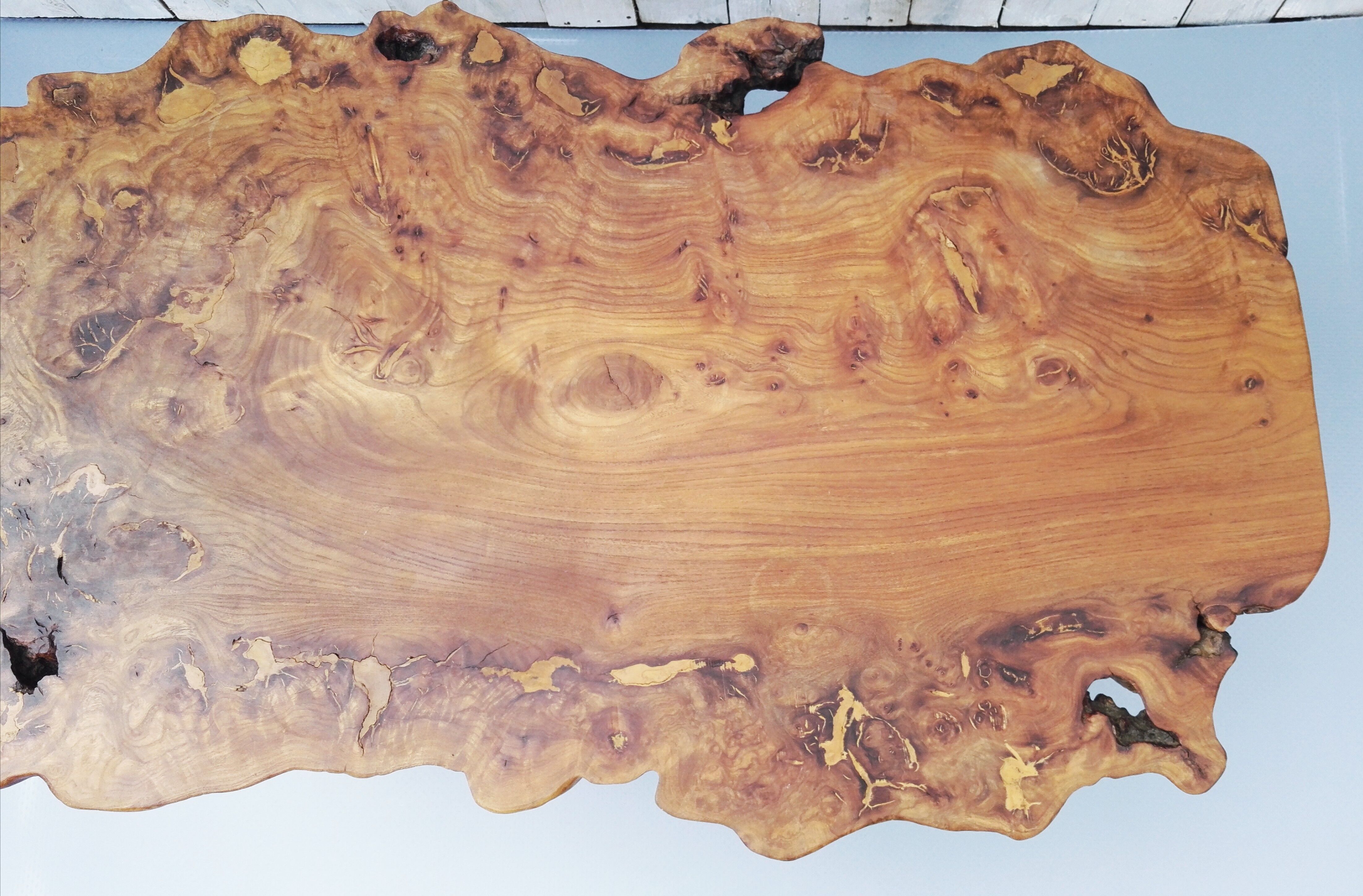 Coffee table brutaliste magnifier elm and hammered iron