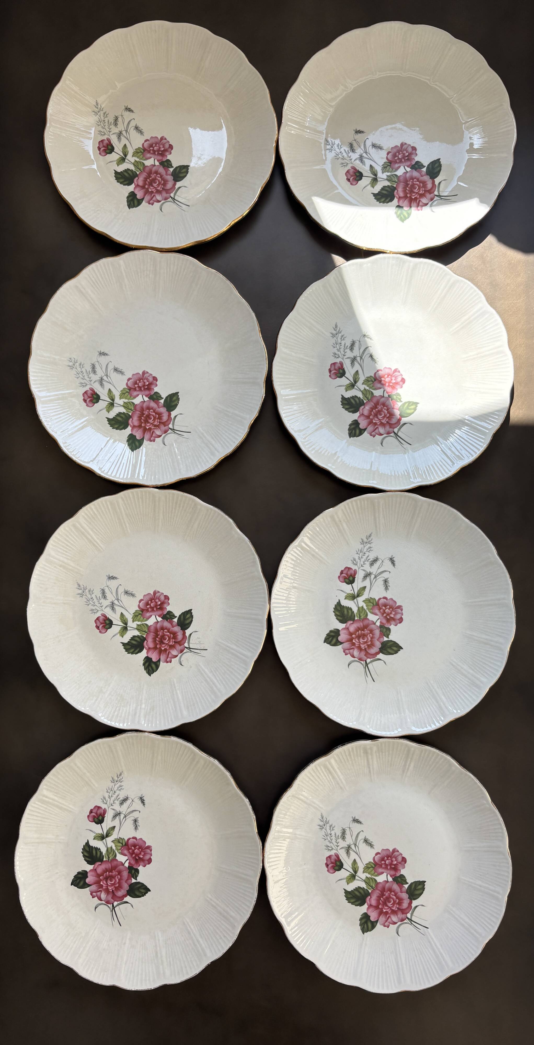 8 Amandinoise dinner plates
