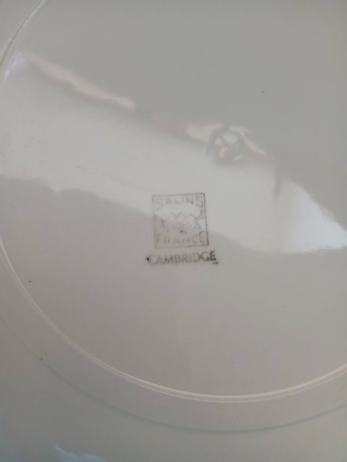 Plat ancien Salins "Cambridge "