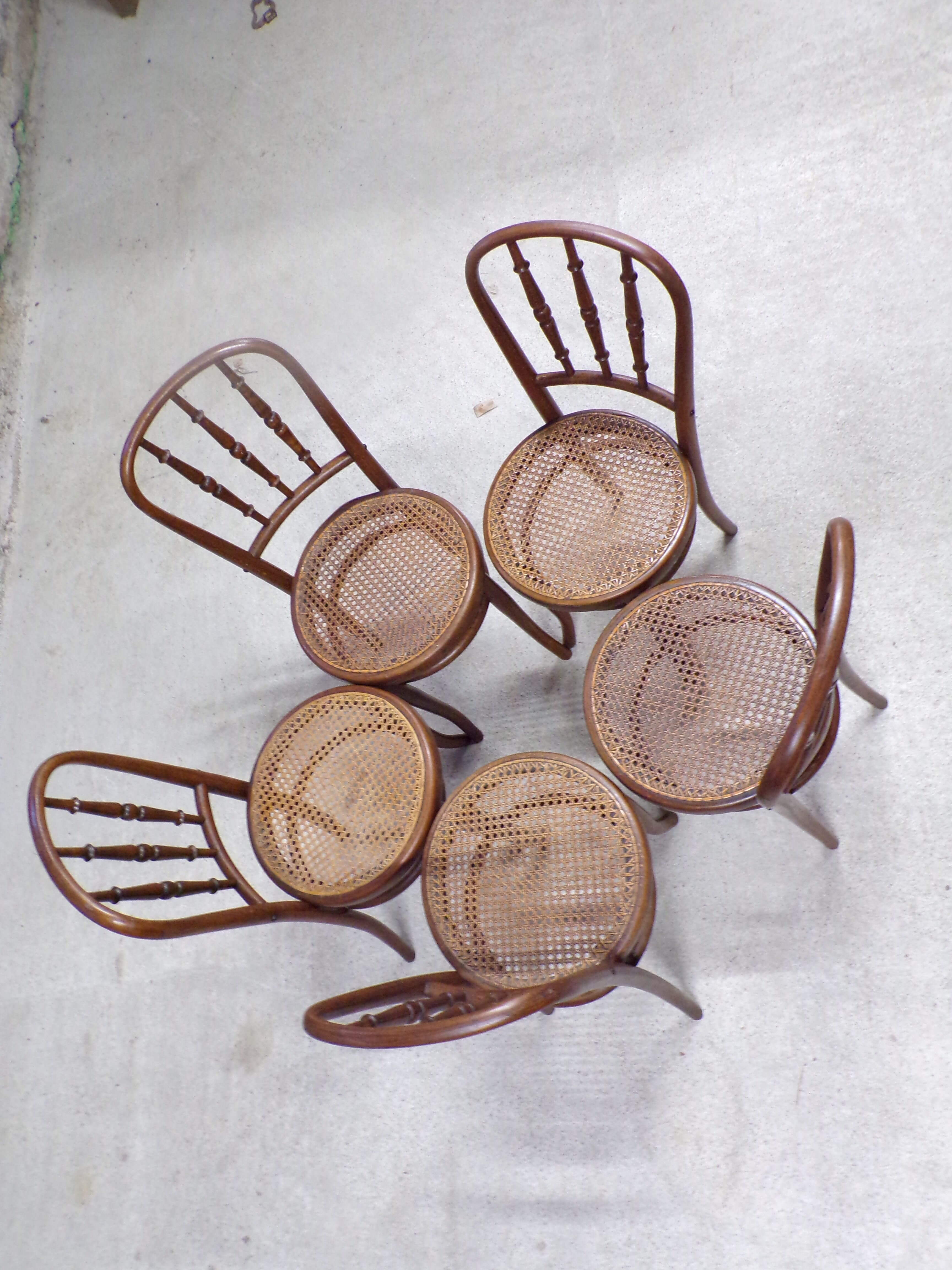 Suite 5 chairs of curved wooden Fischel bistro