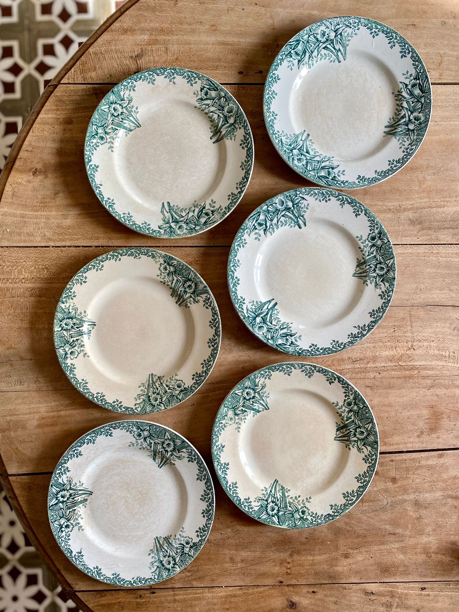 Set of 6 flat plates in iron earth model Narcisse de Saint Amand (LOT 4)