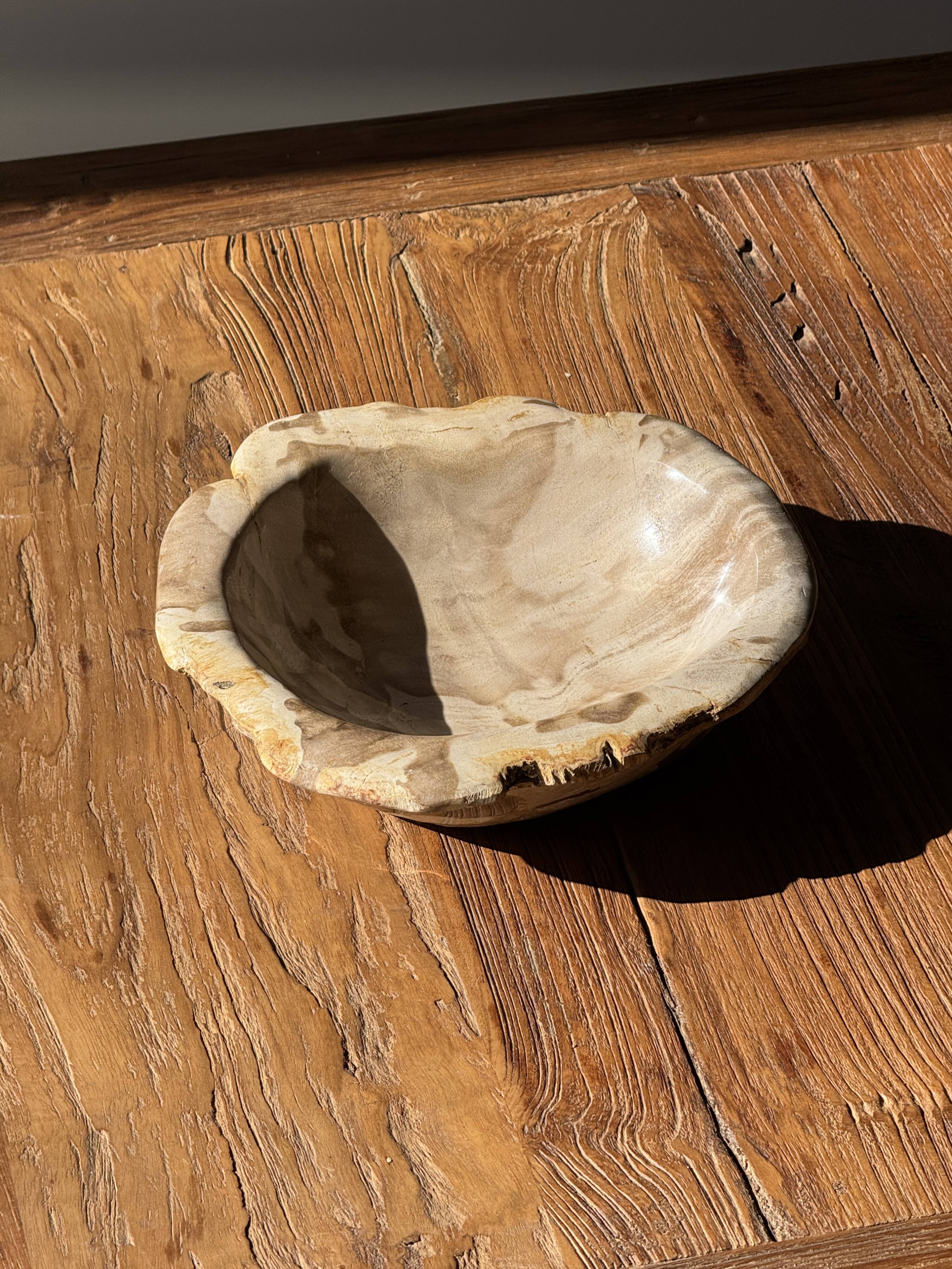 Round beige petrified wood bowl D21- 3780
