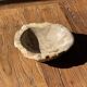Round beige petrified wood bowl D21- 3780