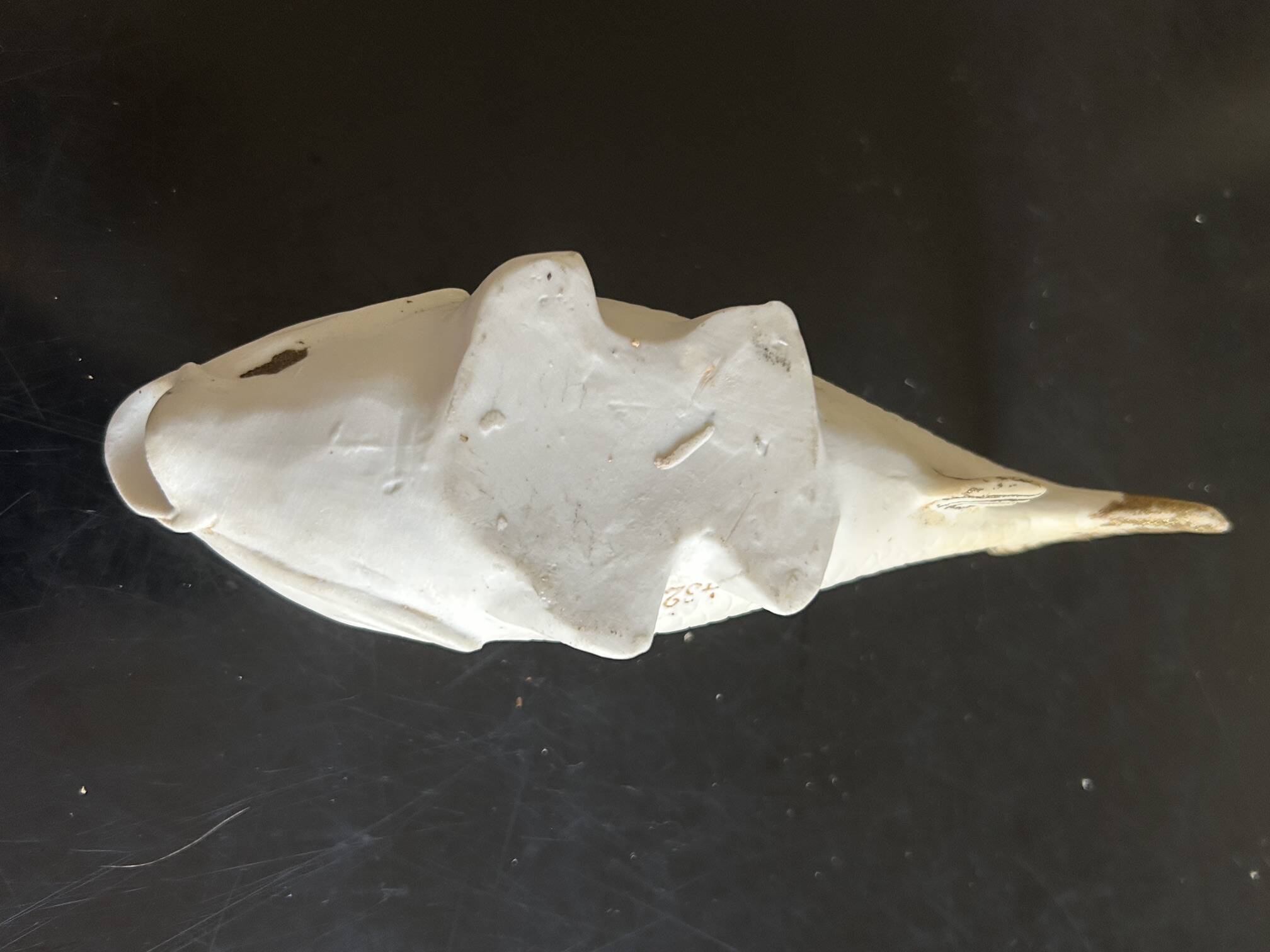 fish pocket ashtray in biscuit Heubach & co