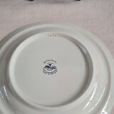 Blauw Delft decorative plates