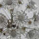 Lustre pissenlit par Preciosa, années 1970