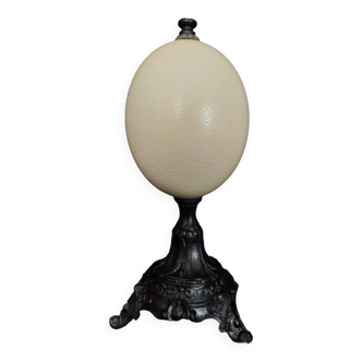 Cabinet of Curiosities struthio camelus ostrich egg on base